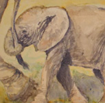 icone-Elephanteau